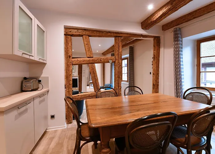 Apartment Bredala Avec Parking Et Climatisation Colmar